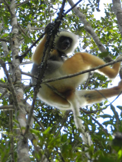 Ab und zu schaut mal einer runter, was sich denn da wohl so tut.