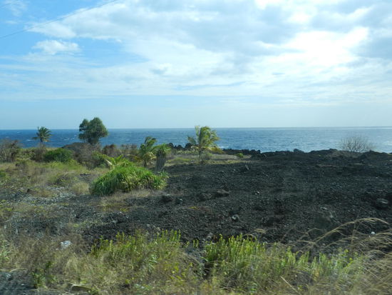 Die Westküste ist sehr vulkanisch geprägt, Palmen wachsen auf Vulkanasche.