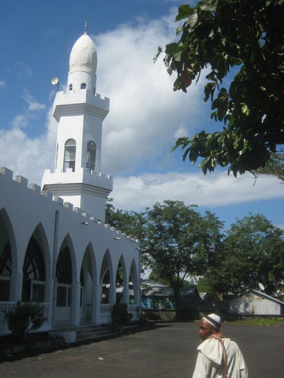 Die neue Freitagsmoschee