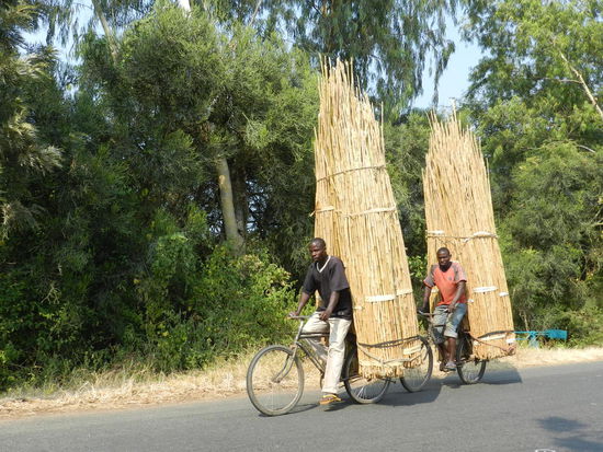 ...einfach unglaublich, was so alles auf ein Fahrrad passt. Hier wird Baumaterial geliefert.