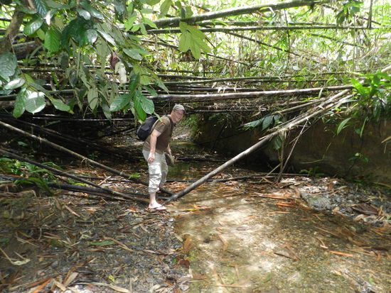 Manchmal wurde es echt haarig, wenn gleich mehrere Hindernisse auftauchten.