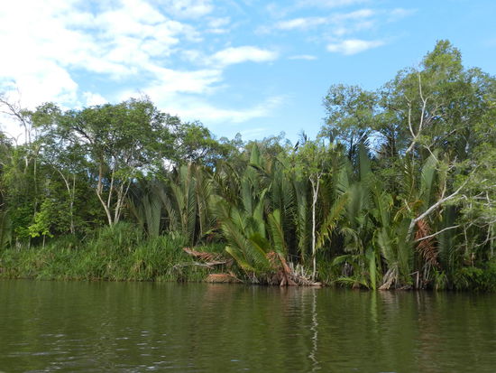 Auf dem Rückweg über den Bruneiriver, hier in etwa in Höhe des kurzen Stücks malaysischen Staatsgebietes.