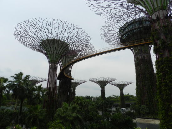 Die Gardens at the bay, futuristische Einblicke in die Botanik