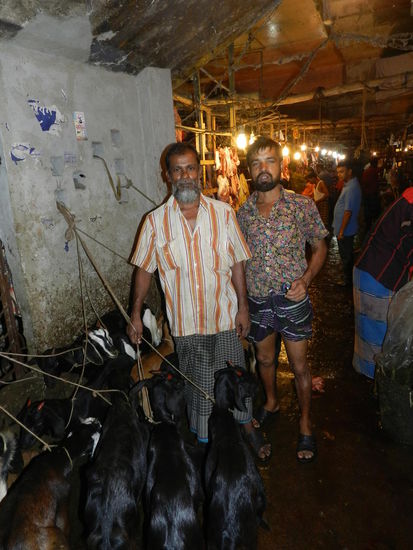 Noch meckern sie ...  In Kürze hängen sie zerlegt bei ihren Kollegen im Fleischregal. Unangenehm war diese Ecke der Markthalle, es stank mächtig, zentimetertiefe Lachen aus Wasser und Blut, dazu der Fischgestank vom Nebengang. Froh war ich, als ich wieder bei den Gewürzen ankam...