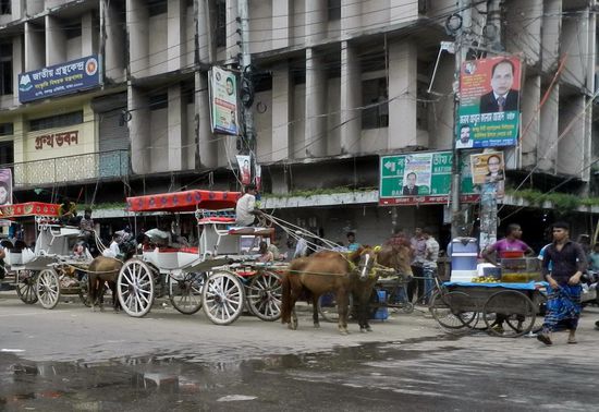 Pferdekutschen sind in Old-Dhaka auch noch weit verbreitet, sind aber nicht so wendig wie Rikshas
