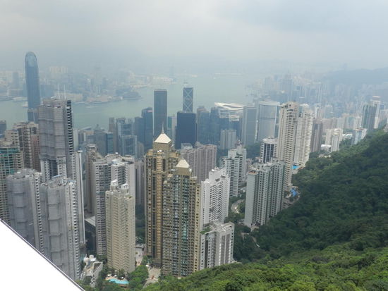 Blick vom Peak auf die Stadt und den Hafen