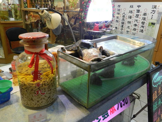 Schildkröten ohne Panzer sehen doof aus!