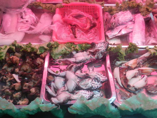 Aufgeschlitzte und aufgedunsene Frösche neben allerhand sonstigem undefinierbaren Getiers - äußerst unappetitlich!