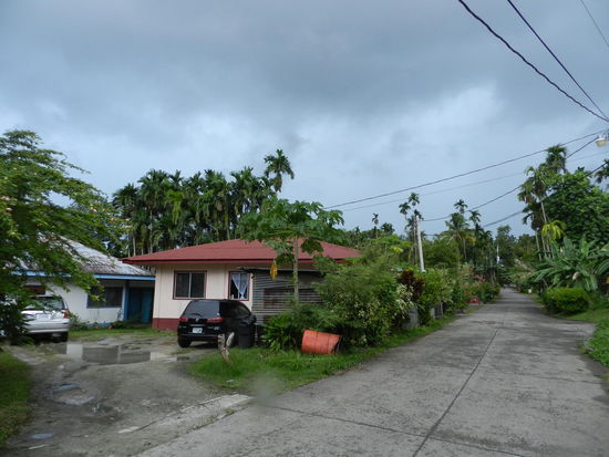 Wohnen am Dschungel - unmittelbar hinter den Wohnhäusern beginnt der dichte Dschungel, der sich auf der schmalen Insel bis ans Meer hinzieht