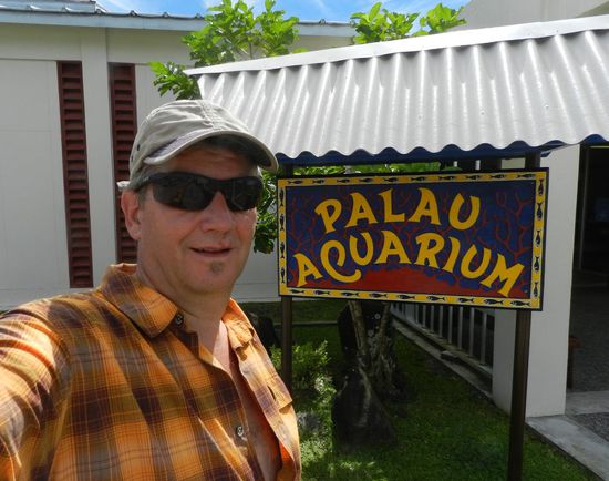 Hier lohnt sich ein kurzer Besuch