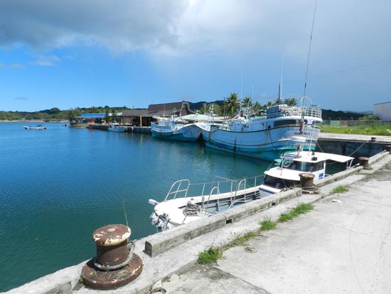 Blick auf den Fischereihafen Colonias ...