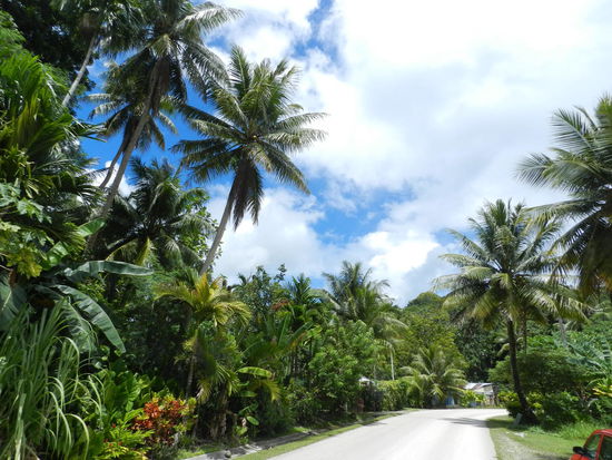 Diese Straße führt zum Südzipfel Colonias, einem Village namens Baleau; dort befindet sich eine stonemoneybank