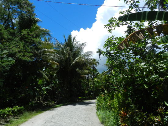 Die Villages bestehen aus einzelnen, verstreuten Häusern und Hütten im Dschungel, die aber durch ordentliche Straßen und Wege untereinander verbunden sind