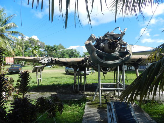 Das Wrack der Grummanjagdflugzeuges von Joseph Cox ...