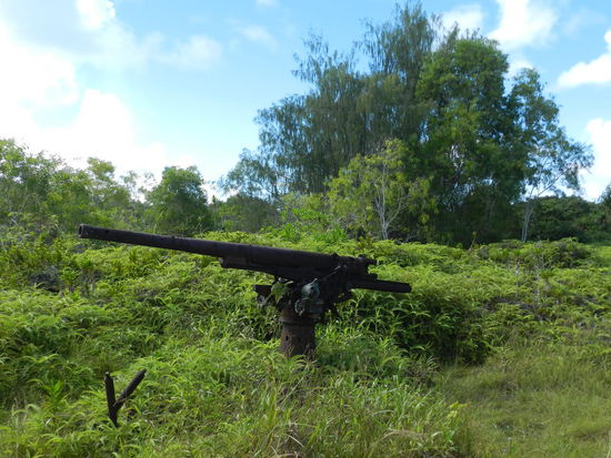 Japaisches Flakgeschütz auf dem Gelände des ehemaligen Flughafen, heute wieder Dschungel