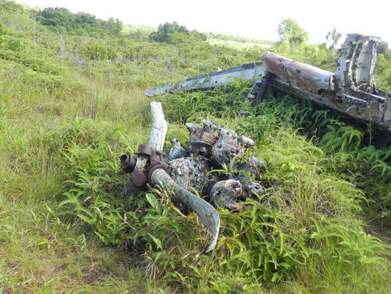 Das amerikanische Jagdflugzeug liegt noch genauso da, wie es vor fast 70 Jahren vom Himmel fiel. Einige Bauteile sind noch erstaunlich gut erhalten.