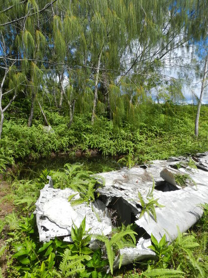 Tragfläche und im Hintergrund ein Teil eines Motors, dazwischen ein Trümmerwasserloch, von einem amerikanischen Bomber. Nur eines der drei Besatzungsmitglieder wurde gefunden und in den USA beerdigt, die beiden Kameraden liegen noch irgendwo im Umfeld