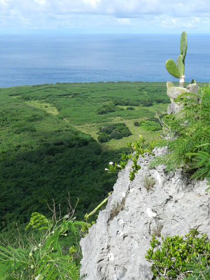 Auf der Spitze des Suicidecliffs, Blick nach Norden