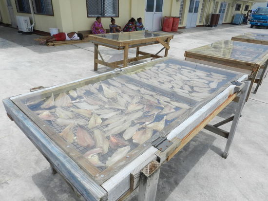 Hier wird Trockenfisch produziert