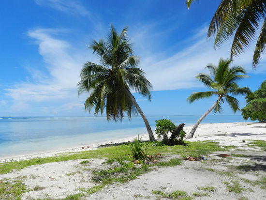 ... wenn es denn nicht auch hier herumstreunende Hunde um Müllablagen gäbe!