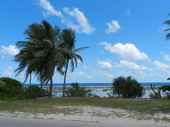 Mein erster Eindruck von Nauru, abends nach dem Check-in in der Ewa-Lodge bei Capelle&Partners; Blick auf den Strandabschnitt vor der Lodge