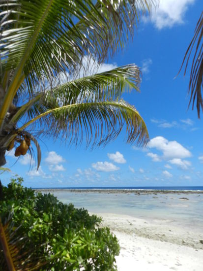 Gut zu erkennen ist das Korallenriff, welches die Insel umgibt und somit auch vor Tsunamis und ähnlichem schützt.
