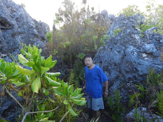 Mein Hotelnachbar Alex von der taiwanesischen Botschaft bei unserer abendlichen Wanderung durch die Korallenkalkfelsen.