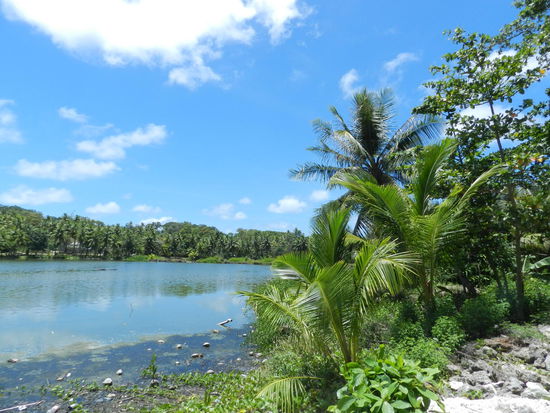 Eine Brackwasserlagune in der Inselmitte könnte ein Paradies sein, wenn es nicht auch so verschmutzt wäre.