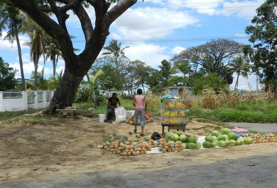Obstverkäufer an der Straße nach Nadi