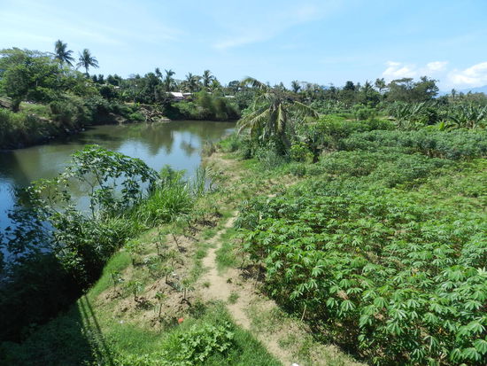 Auch etwas grün gibt es in der Stadt
