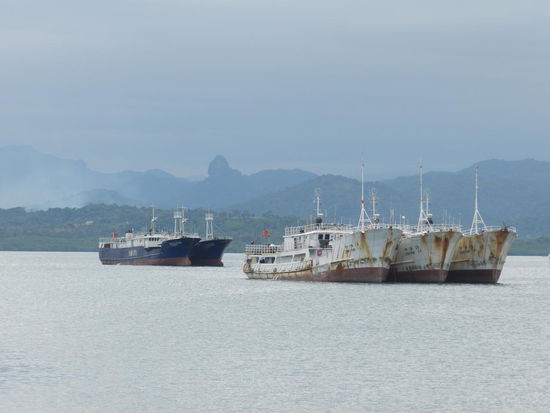 Dicht an dicht liegen die Schiffe