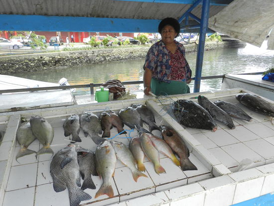 Auch seltene Fische wie den Papageienfisch konnte man hierkaufen