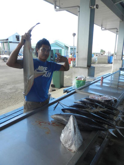 Dieser kleine Hai sucht noch einen Käufer auf dem Fischmarkt