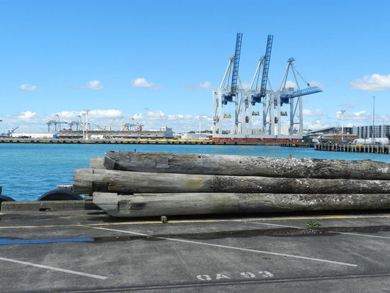 Mein erster Eindruck vom Hafen