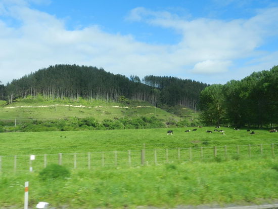 Stellenweise sieht die Landschaft aus wie im Allgäu