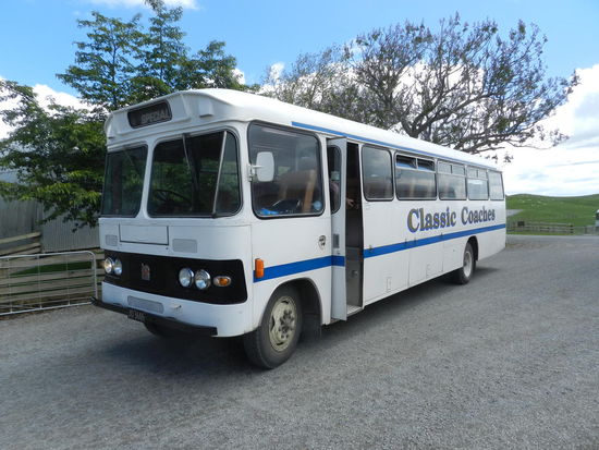 Mit Oldtimerbussen geht es die letzte Viertelstunde durchs Farmland zu den Hobbits