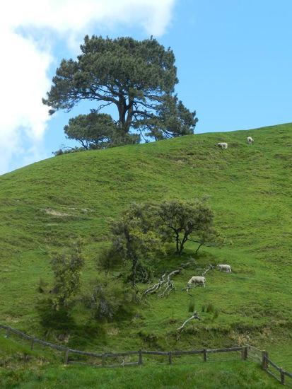 Welcher Baum nun echt ist oder künstlich, ist manchmal kaum zu erkennen