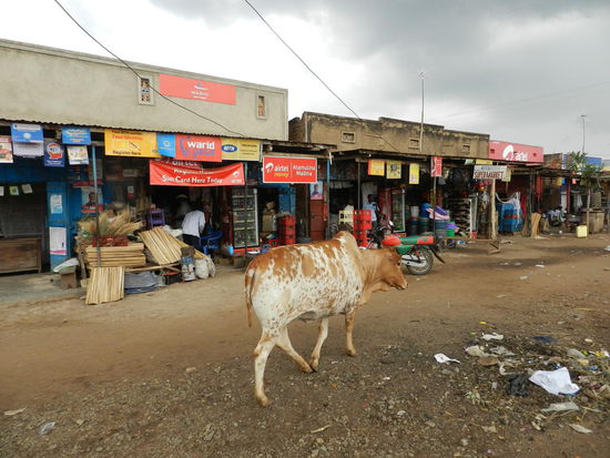Typische Szene in einem der vielen Straßendörfer