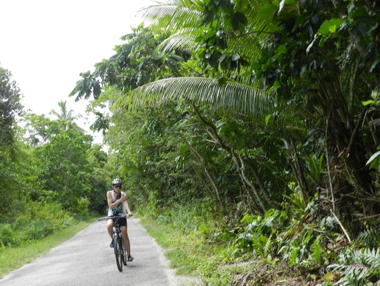 Das ist die Ringstraße, die rund um Niue führt - man glaubt fast, durch einen Urwald zu fahren.