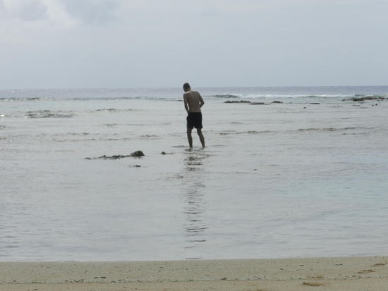 Richtig schwimmen kann man auf Niue allerdings nur an ganz wenigen Stellen; der Strand ist oft felsig mit starken Strömungen und so kann man nur in den Pools baden, Löcher im Felsgestein