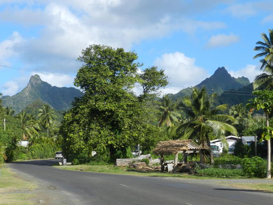 Erste Landschaftseindrücke auf der Fahrt zum Hostel