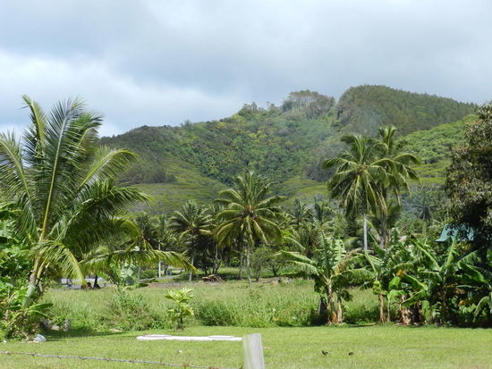 Aber auch der Blick Richtung Berge lohnt sich