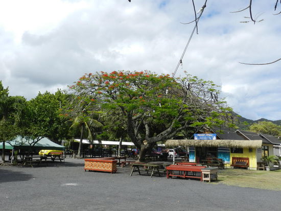 Schön bunt anzusehen ist der Punanga-Nui-Markt
