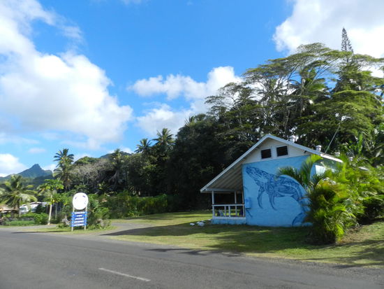 Die kleine Whaleresearchstation ist ganz in der Nähe des Tiare-Village-Hostels