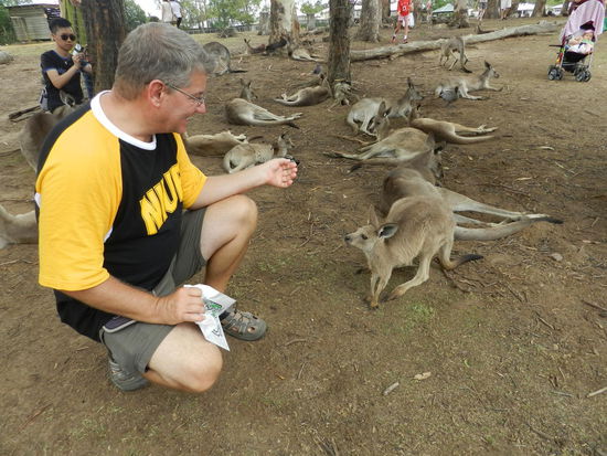 Das Wahrzeichen Australiens wartet auf Futter