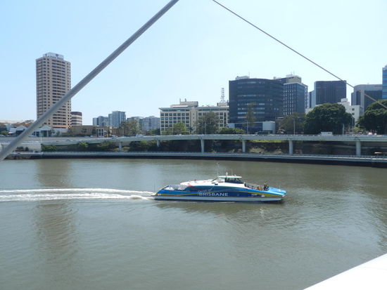 Mit diesen City-Cats wird ein Linienverkehr auf dem Brisbaneriver betrieben