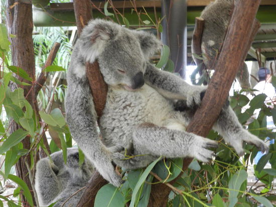 So lässt es sich gut abhängen