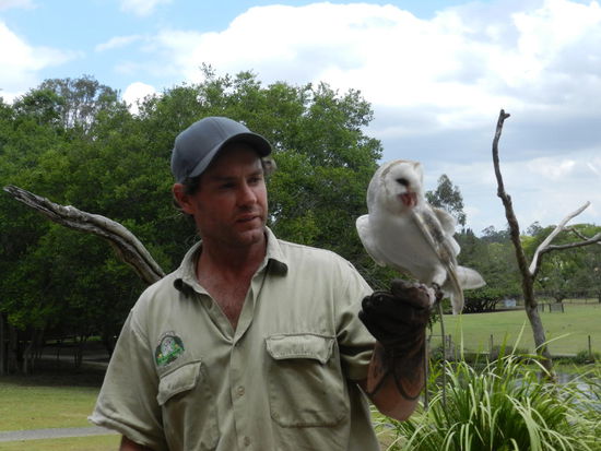 Aber auch Raubvogelvorführungen gab es im Sanctuary