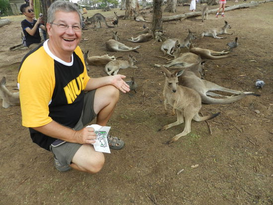 Heute fielen die Känguruhs etwas kleiner aus