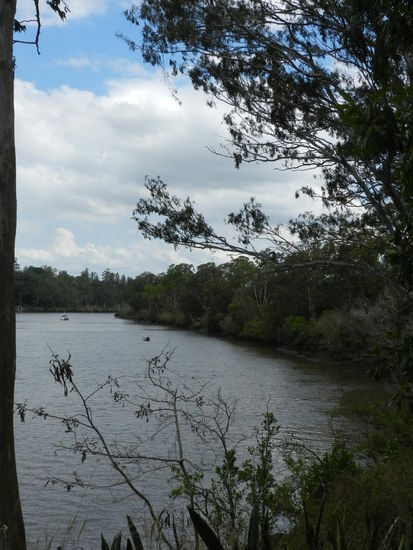 Blick vom Ableger des Sanctuarys auf den Brisbaneriver